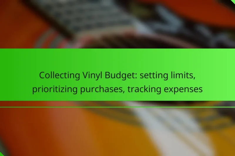 Collecting Vinyl Budget: setting limits, prioritizing purchases, tracking expenses