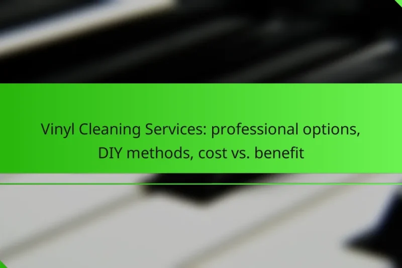 Vinyl Cleaning Services: professional options, DIY methods, cost vs. benefit