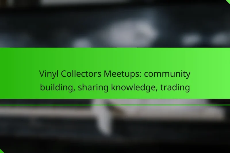 Vinyl Collectors Meetups: community building, sharing knowledge, trading