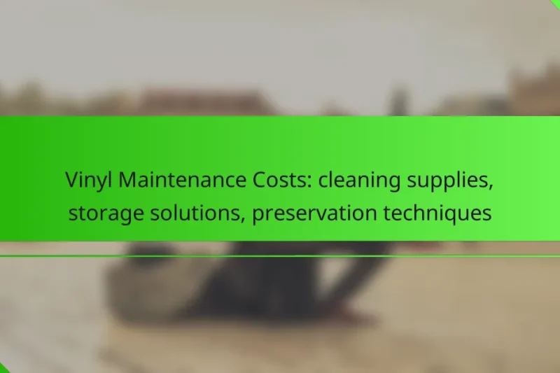 Vinyl Maintenance Costs: cleaning supplies, storage solutions, preservation techniques